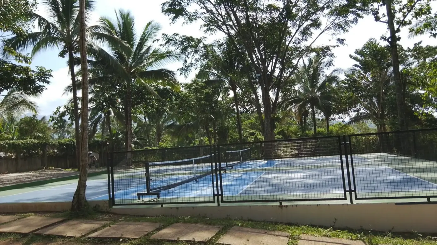 The courts in daylight, seen through the perimeter fence with palms and rainforest behind