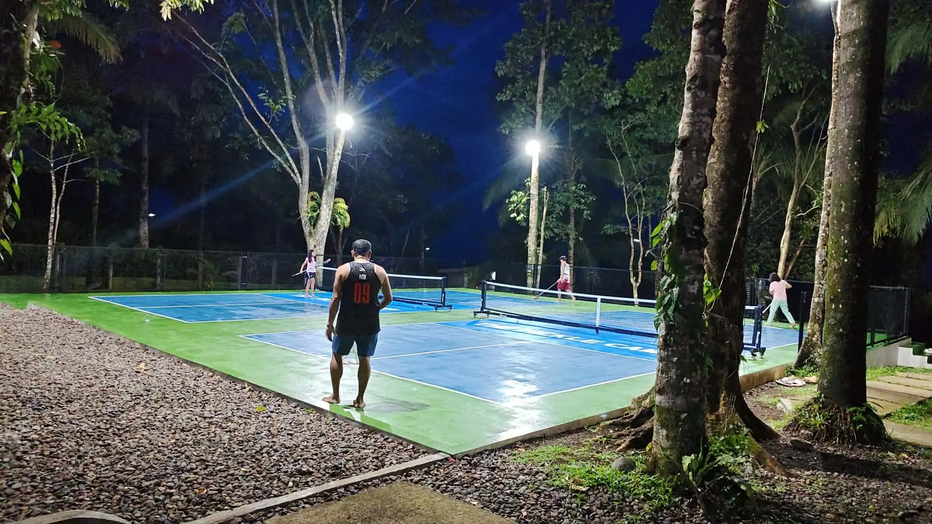 Two floodlit pickleball courts at night, surrounded by coconut palms and rainforest